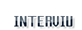 Interviu