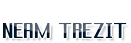 Neam Trezit